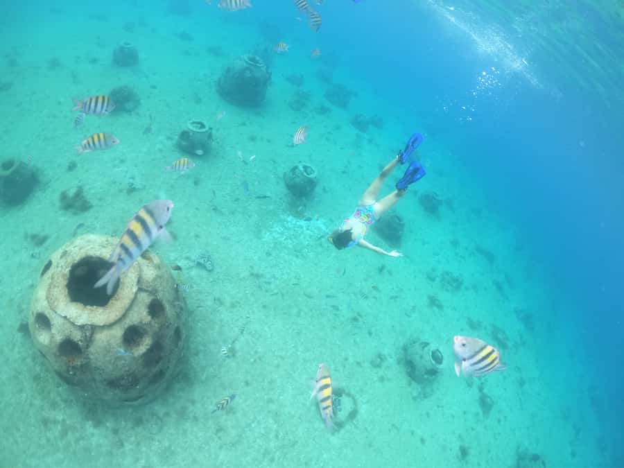 From Cozumel: Invisible Boat Snorkeling Tour - What Happens First: San Miguel de Cozumel Scenic Time and Safety Briefing