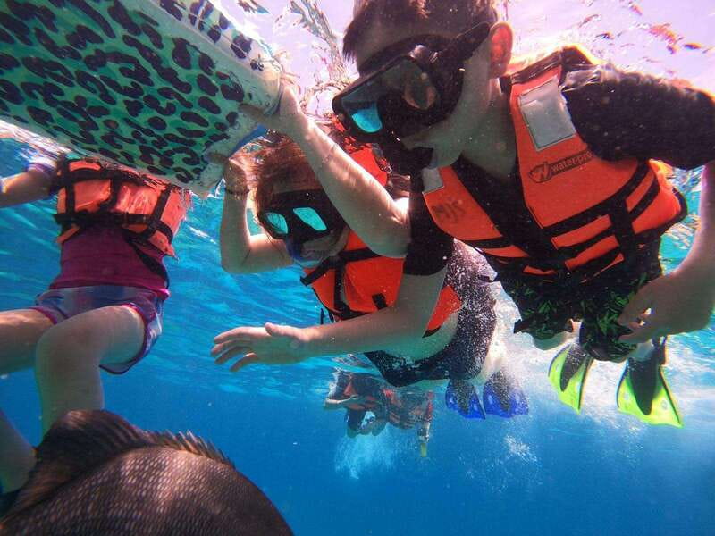From Cozumel: Official Chankanaab Park Day Pass and Snorkel - Key highlights at Chankanaab (in plain terms)