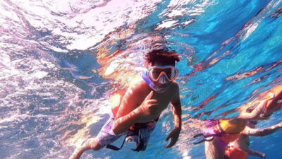 From Cozumel: Official Chankanaab Park Day Pass and Snorkel - The 3-hour plan: what you’ll actually do once you’re inside the park