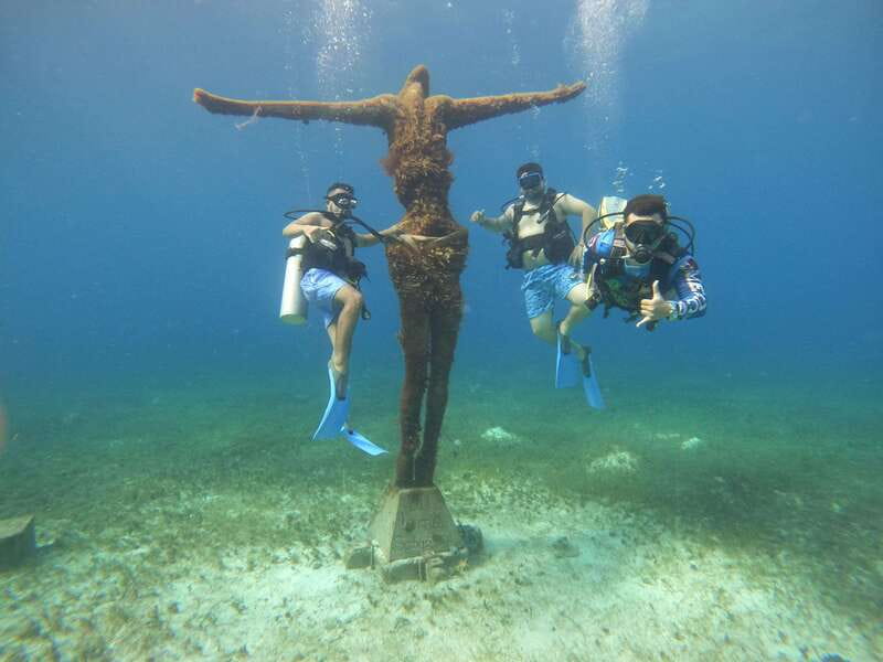 From Cozumel: Official Chankanaab Park Day Pass and Snorkel - The sea lion show inclusion: a useful anchor in a flexible schedule