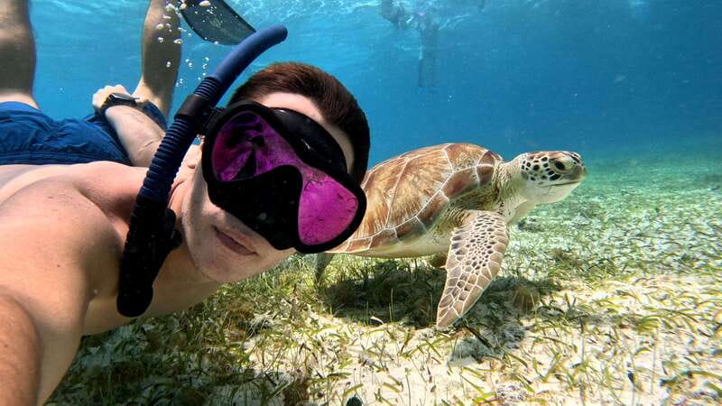 From Cozumel: Snorkel Private Charter to el Cielo & Cielito - Key points before you go