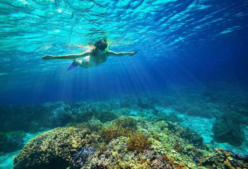From Cozumel: Snorkel Private Charter to el Cielo & Cielito - Price and value: where the $128 really lands