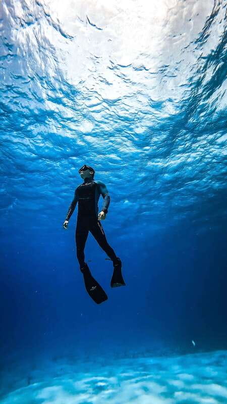 From Cozumel: Snorkel Private Charter to el Cielo & Cielito - Cozumel Reef sessions: how to use those 20-minute windows well