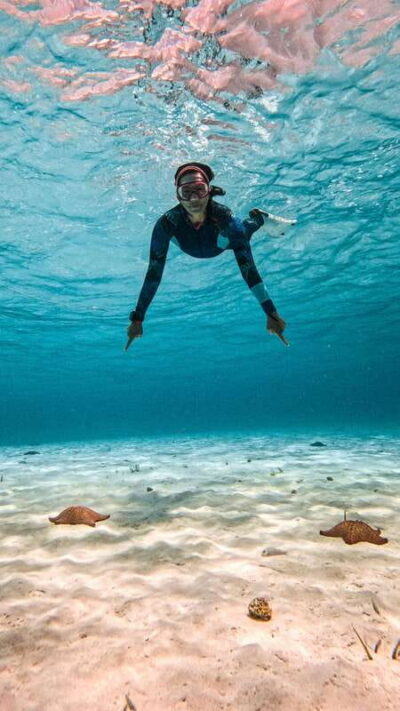 From Cozumel: Snorkel Private Charter to el Cielo & Cielito - The 4-hour rhythm: a clear plan you can actually follow
