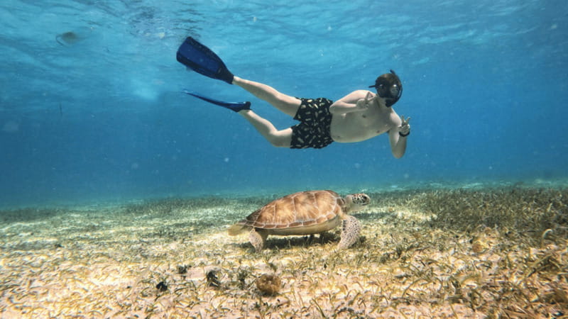 From Cozumel: Snorkel Private Charter to el Cielo & Cielito - Food and drinks: the part that makes the day feel complete