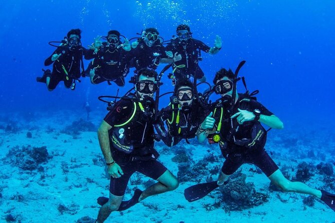 Fun dives Cozumel south marine park - Second session: wall scenery, big animals, and calm control