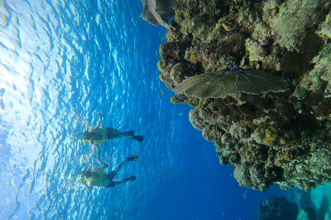 Get to know heaven on earth with Chivis del mar private - El Cielito shallow water, ceviche, and stingray possibility