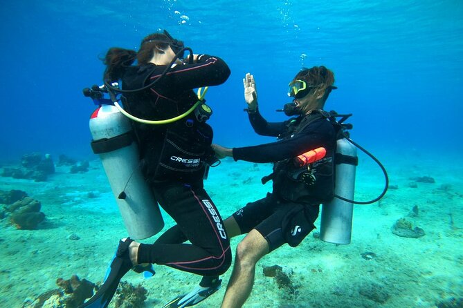 Introductory Diving Class in the Cozumel Reefs - Your 5-hour flow: from classroom basics to two reef swims