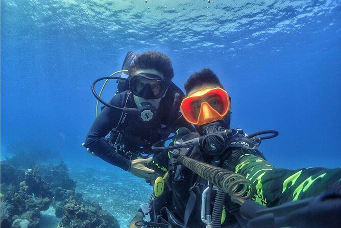 Introductory Diving Class in the Cozumel Reefs - What the instructor actually helps with (and why it’s worth paying for)