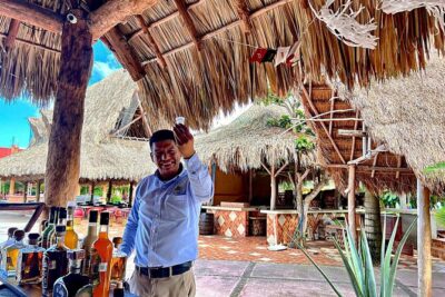 Island Tour in Cozumel, Mayan Show & Tacos - The money picture: $80.99 and where extra costs might appear