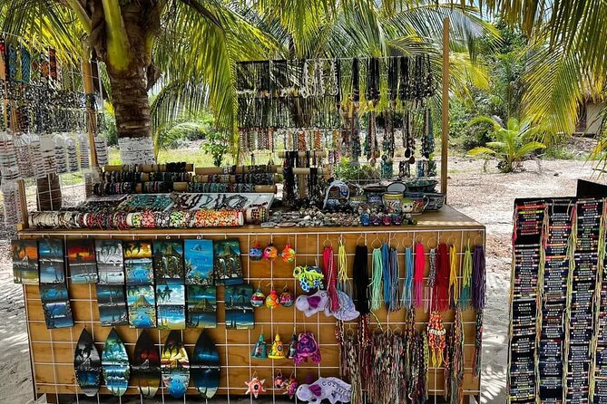 Island Tour in Cozumel, Mayan Show & Tacos - Stop 3: Hotel Hacienda Ixtlan tequila seminar and tastings (about 45 minutes)