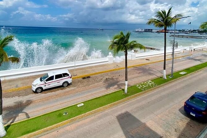 Island Tour With Private Driver - Nature + History in the Same Hour: Ruins, Preserves, and Wildlife