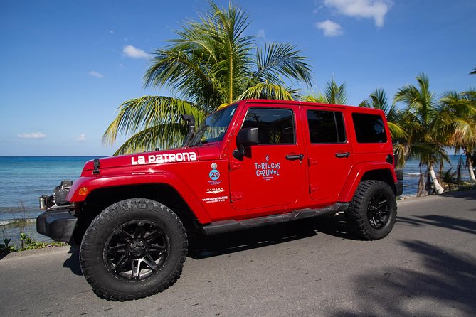 Jeep Exploration & All Inclusive Tortugas Beach Break (Private) - The Tortugas Beach Club part is the main event