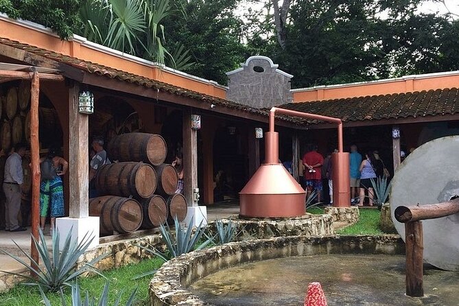 Jeep Tour of Cozumel with Lunch and Beach Club - Lunch, drinks, and the guide factor (where the real quality shows up)