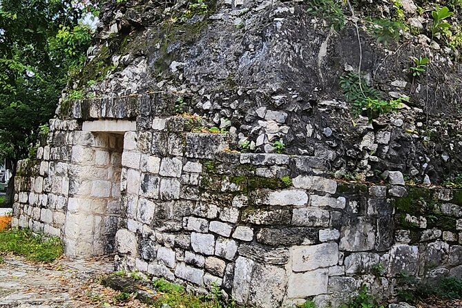 Jungle, Caverns and Tequila Mayan ATV Experience - Jade Cavern cenote: cave water, rock shapes, and local wildlife
