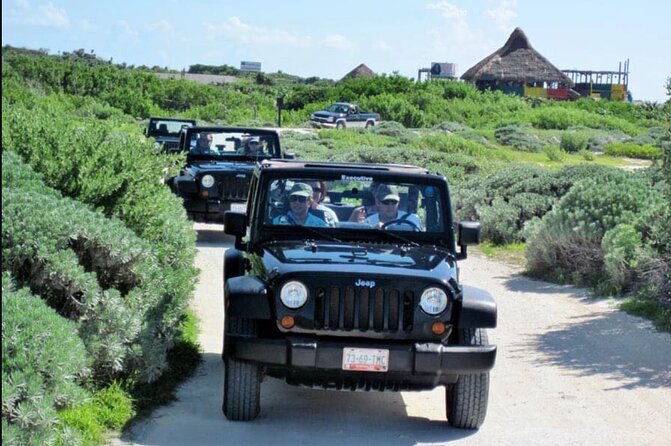 Last Minute Tour : Cozumel to Your Rhythm by Private Buggy - The Automatic Buggy Experience: Easy Control, Real Island Freedom
