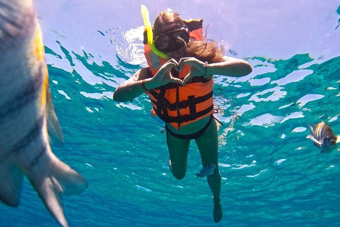 Magnificent Exploration to El Cielo Palancar and Columbia Reefs - Columbia Reef: The Deep Stop for Coral Scale and Real Wow