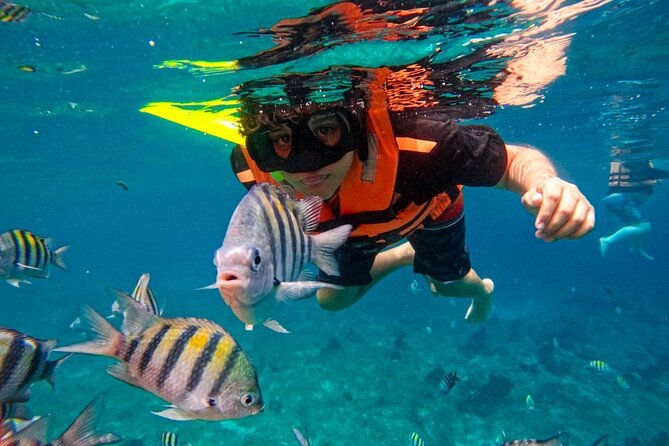 Magnificent Exploration to El Cielo Palancar and Columbia Reefs - The Schedule Pace: Boat Rides, Snorkel Windows, and Getting Rested