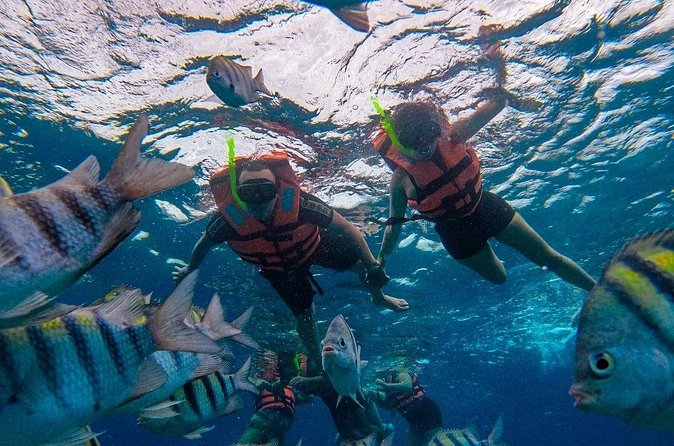 Magnificent Exploration to El Cielo Palancar and Columbia Reefs - Food, Drinks, and the Good Stuff Between Swims