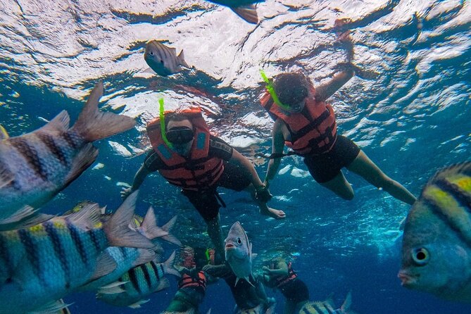 Magnificent Exploration to El Cielo Palancar and Columbia Reefs - Price and the Real Cost: The 450 MXN Fee You Must Plan For