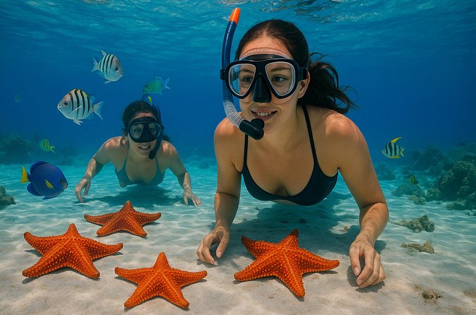 Magnificent Exploration to El Cielo Palancar and Columbia Reefs - Guide and Language Reality: English on Paper, Spanish in Practice