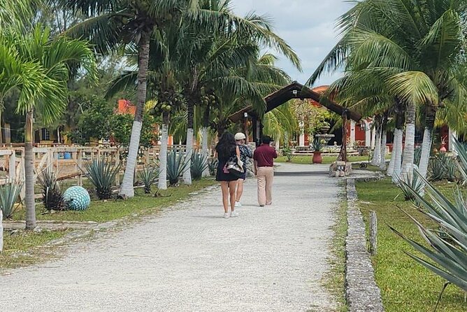 Mayan Adventure by Buggy : Explore Ruins & Culture Park - Price and value: what $126.67 buys you in real terms