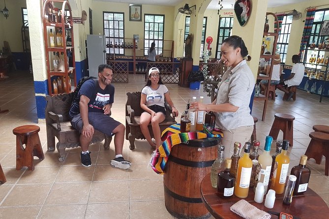 Mayan Village and Tequila Tour - Hacienda Antigua tequila: harvest-to-bottle framing, then a tasting