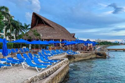 Money Bar All Inclusive Experience with Transportation - The 9:00 AM to 5:00 PM flow: how to pace your day