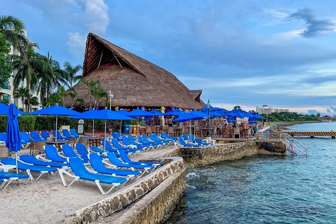 Money Bar All Inclusive Experience with Transportation - The 9:00 AM to 5:00 PM flow: how to pace your day