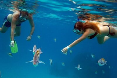 Official Chankanaab Park Day pass and Snorkel with Lunch included - Price and Logistics: The Marine Fee and the Real Meaning of All-Inclusive