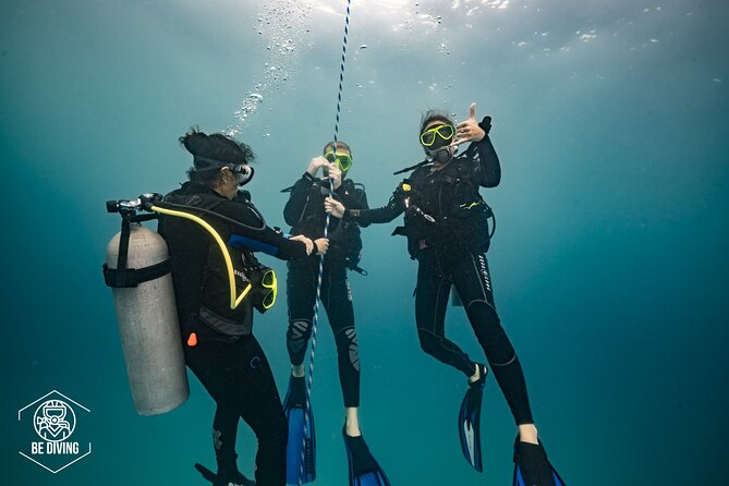 Open Water Course Cozumel - Day 2: Casa Cenote practice—skills in clear, fish-filled water