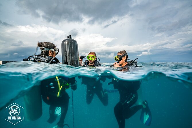 Open Water Course Cozumel - Marine conservation: what it looks like inside a beginner course