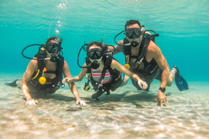 Open Water Course Cozumel - Gear, skills, and the calm control approach that beginners need