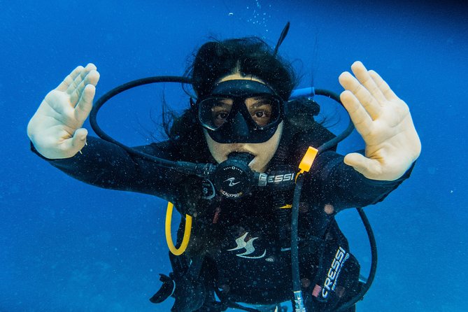 Open Water Course Cozumel - Instructors and teaching style: names you might meet