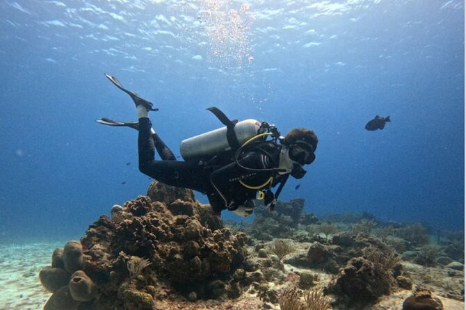Open Water Diver Course - Key details that matter before you go