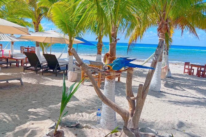 Otoch Mayan Experience Tour: Cultural & Historical Adventure - San Miguel de Cozumel: Main Plaza, Markets, and Quick Souvenir Time