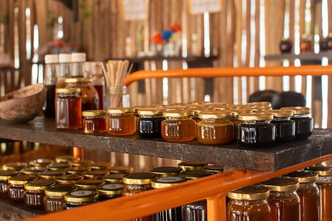 Otoch Mayan Experiences with Cenote Shared Guided Tour - The food segment: tacos, tortillas, chocolate, and honey