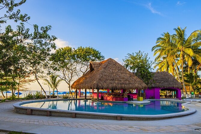 Playa Uvas Open Bar Exclusive Pass - Price and value: is $45 a smart deal?