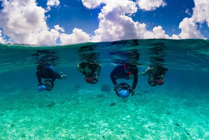 Power Snorkel by Sea Scooter & Flavored Tequila tasting - San Miguel de Cozumel snorkeling: fish, rays, starfish, and good visibility
