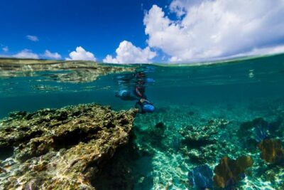 Power Snorkel By Sea Scooters & Tequila Tasting - La Monina check-in to your first controlled swim