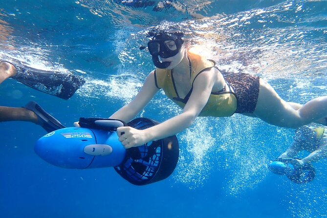 Power Snorkel By Sea Scooters & Tequila Tasting - Small private group with guides like Adolfo, Nemo, Felipe, and Meme