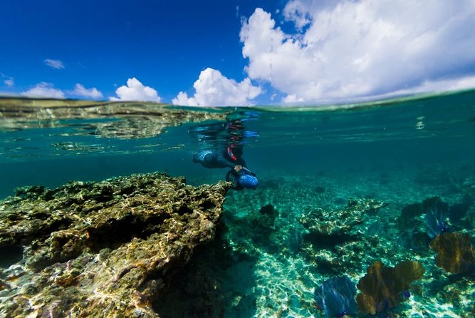 Power Snorkel By Sea Scooters & Tequila Tasting - La Monina check-in to your first controlled swim