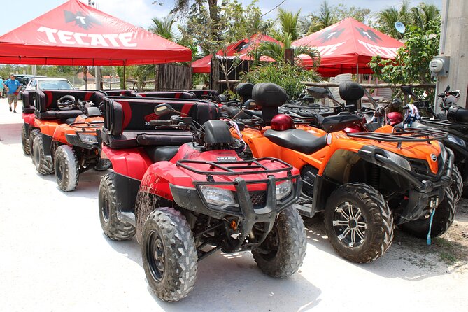 Private Buggy & ATV Tour to Jade Cavern Cenote: All-Inclusive - Private Buggy & ATV Cozumel: How the day flows