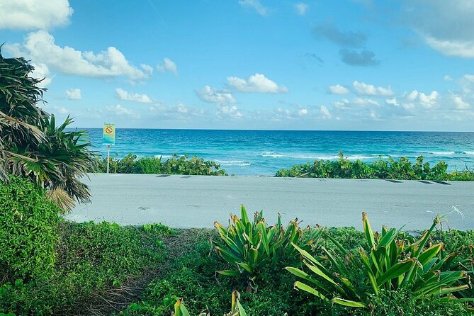 Private Buggy Tour in Cozumel, Snorkel & Lunch: All Inclusive - The Human Factor: Brando, Gizmo, and Jose Make or Break It