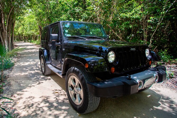 Private Cozumel Jeep and Jade Cavern Cenote Tour - Key highlights you’ll feel on the day