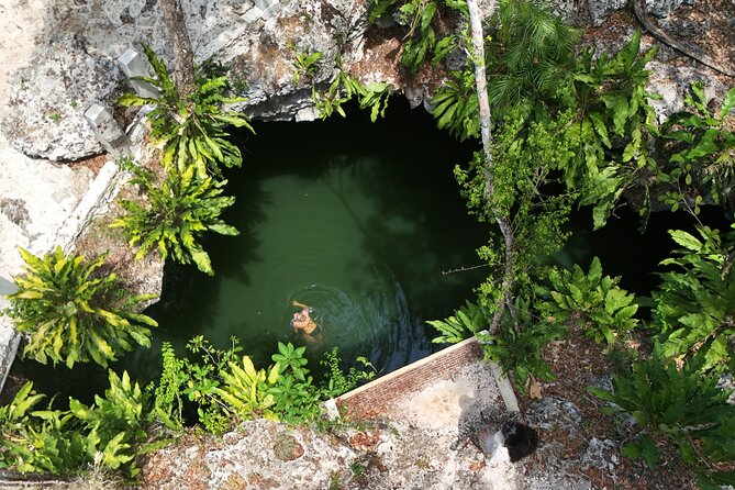 Private Jeep Cenotes Expedition in Cozumel – Swim & Mayan Park - Key highlights (what’s actually great here)