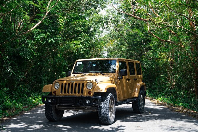 Private Jeep Cenotes Expedition in Cozumel – Swim & Mayan Park - Otoch Mayan Experience: Tortillas, Tastings, and a Purification Ceremony