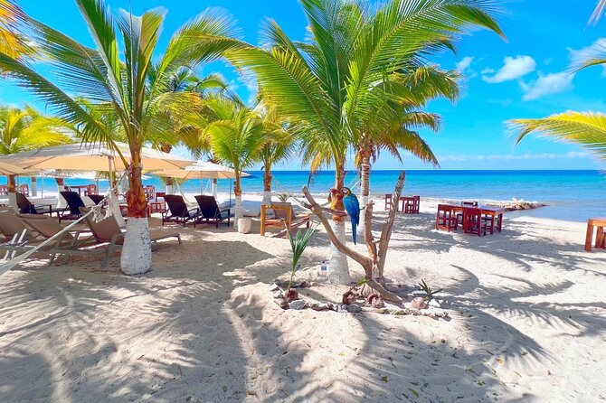 Private Jeep or Buggy Tour Snorkeling Maya Park and Tacos - Yucab Reef snorkeling: calm water time with safety-first guidance