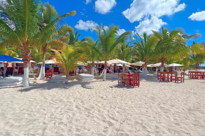 Private Jeep or Buggy Tour Snorkeling Maya Park and Tacos - Weather, timing, and who should book this