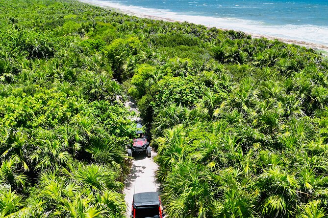 Private Jeep & Polaris RZR: San Gervasio Mayan Ruins & Snorkeling - Punta Molas Faro: Jungle RZR Time With Beach-Edge Views